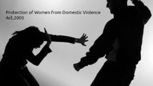 The-Protection-of-Women-from-Domestic-Violence-Act