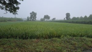 IMG-20260822-WA0004