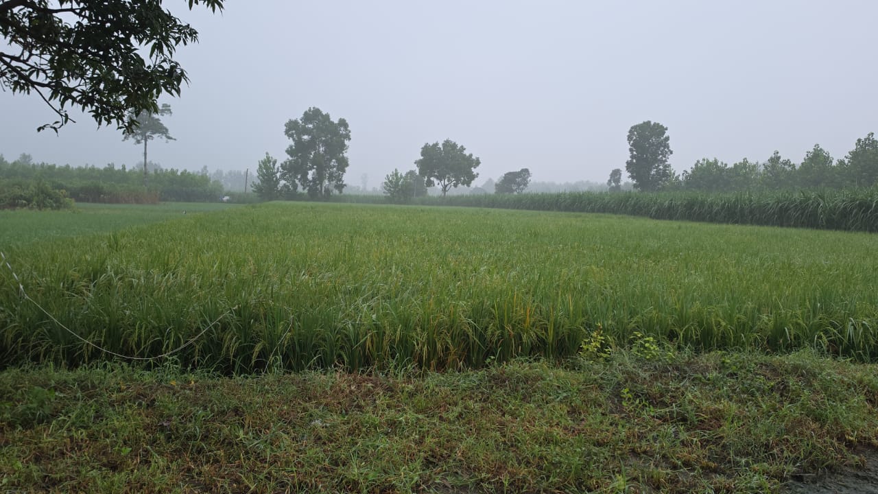 IMG-20260822-WA0004