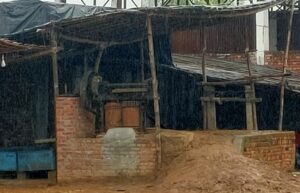 Oplus_16908288